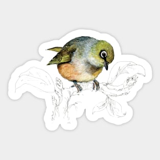 Sylvereye bird of New Zealand Sticker